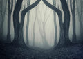 BELECO 10x6.5ft Fabric Dark Misty Woods Halloween Spooky Forest Backdrop for Photography Magic Grove Vampire Evil Trees Background Witch Wizard Sorcerer Ghost Theme Party Decor Banner Photo Props - size: 10x6.5FT