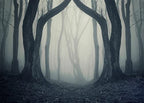 BELECO 10x6.5ft Fabric Dark Misty Woods Halloween Spooky Forest Backdrop for Photography Magic Grove Vampire Evil Trees Background Witch Wizard Sorcerer Ghost Theme Party Decor Banner Photo Props - size: 10x6.5FT