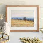 8.5x11 Picture Frame, Solid Oak Wood 8.5 by 11 Frame with Mat 6x8