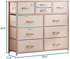 LUMTOK 10 Drawers Dresser with Fabric Bins for Bedroom,Closets，Dark Gray