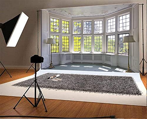 AOFOTO 7x5ft Classic French Pane Bay Windows Backdrop Luxury Retro Interior Decoration Floor Lamps Photography Background New Life Furniture Home Lifestyle Estate Modern Residence Photo Studio Props - size: 7x5ft