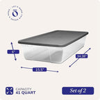 HOMZ 2-Pack Snaplock, Large Clear Plastic Storage Organizer Bins w/Lids, 41 Quart, Gray - Stackable Container Boxes for Bedroom, Bathroom, Garage, and Office Organization