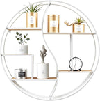 Round Wall Shelf,24 inch Metal Circle Wood Floating Shelves,Rustic White Wall Mounted Display Organizer Shelf for Fireplace,Living Room,Bathroom