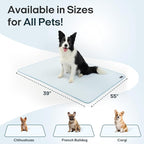 Zonli Premium Cooling Blanket for Dogs-Lightweight Fluffy Pet Throw & Bed Cover,Cooling Mat for Dogs,Cats&Puppies - Breathable,Durable Summer Blanket-Oversized 39"×55" Pet Pad, Machine Washable (Blue)