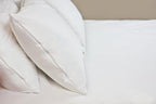 HOSPITOLOGY PRODUCTS Pillow Encasement- Zippered Bed Bug Dust Mite Proof Hypoallergenic - Sleep Defense System - Queen - Waterproof - Set of 2 - 20" H x 30" W
