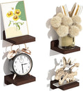 SRIWATANA Small Floating Shelves Wall Mounted, Wood Shelf for Decoration and Storage Set of 4, Mini Display Shelf for Bedroom, Bathroom, Kitchen, Office (Walnut, 4 inch)