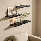 Widen Floating Shelves for Wall, Wall Mounted Shelves with Lip for Storage, Metal Display Shelves, Kitchen/Living Room/Bedroom/Bathroom Shelf, Black 12 inch 2 Pack