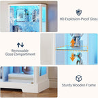 Gurexl Modern Glass Display Cabinet