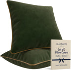 2 Pack Velvet Decorative Throw Pillow Covers, 20"x20", Green and Camel, Solid, Modern, Contrast Piping, Indoor Use, Bedroom & Living Room