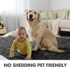 4x6 Ft Shag Rugs for Bedroom Living Room, Ultra Soft Fluffy Furry Area Rugs for Indoor Floor, Aesthetic Carpet for Kids Home Decor (Grey)