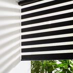 Persilux Cordless Zebra Blinds for Windows (33" W X72 H, Black) Free-Stop Roller Windows Shades Dual Layer Light Control for Day and Night, Light Filtering Sheer Shades for Home, Easy to Install