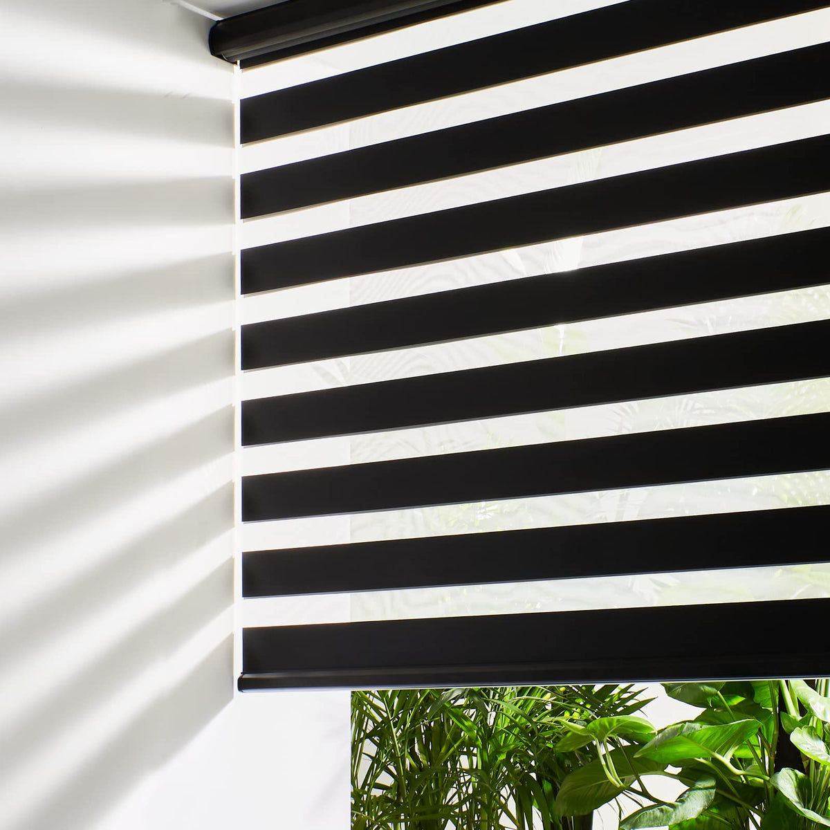 Persilux Cordless Zebra Blinds for Windows (33" W X72 H, Black) Free-Stop Roller Windows Shades Dual Layer Light Control for Day and Night, Light Filtering Sheer Shades for Home, Easy to Install