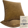2 Pack Velvet Decorative Throw Pillow Covers, 18"x18", Camel and Brown, Solid, Modern, Contrast Piping, Indoor Use, Bedroom & Living Room