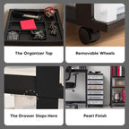 IRIS USA Craft Plastic Organizers and Storage, Rolling Storage Cart for Classroom Supplies, Storage Organizer for Art Supplies, Drawer Top Organizer for Small Parts, 6 Drawer, Black/Pearl