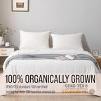 Bella Coterie Luxury Bamboo Viscose Split King Size Sheet Set | 2 Fitted Sheets for Sleep Number & Adjustable Beds | 100% Organically Grown | Cooling & Ultra Soft | 18” Deep Pocket [Ivory]