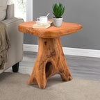 Small Side Table, Unique Design Live Edge Wood Stool, Freeform Natural Plant