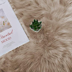 Latepis Shag Area Rugs 4x6 Machine Washable Faux Fur Rug Brown Beige Fluffy Carpet for Living Room Shaggy Plush Rug for Bedroom Floor Home Decor Rectangle