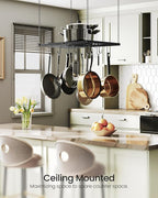 CHOEZON Hanging Pot Rack, Ceiling Mounted Pot Hanger for Kitchen, Metal Cookware Storage Organizer with 12 Hooks, for Storage of Cookware, Utensils in Kitchen, 23.7" L, Black TPR03BB