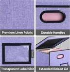 BALEINE File Organizer Box with Lid, Collapsible File Folder Organizer with Plastic Slide, Hanging File Folder Box for Office Document Storage (Tab Friendly, 1 Pack, Purple)