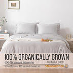 Bella Coterie 6 Piece Luxury Bamboo Viscose Queen Size Sheet Set | 100% Organically Grown | Cooling for Hot Sleepers | 18" Deep Pocket | Soft & Hypoallergenic | 4 Pillowcases [Grey Mist]