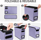 BALEINE File Organizer Box with Lid, Collapsible File Folder Organizer with Plastic Slide, Hanging File Folder Box for Office Document Storage (1 Pack, Purple, S)