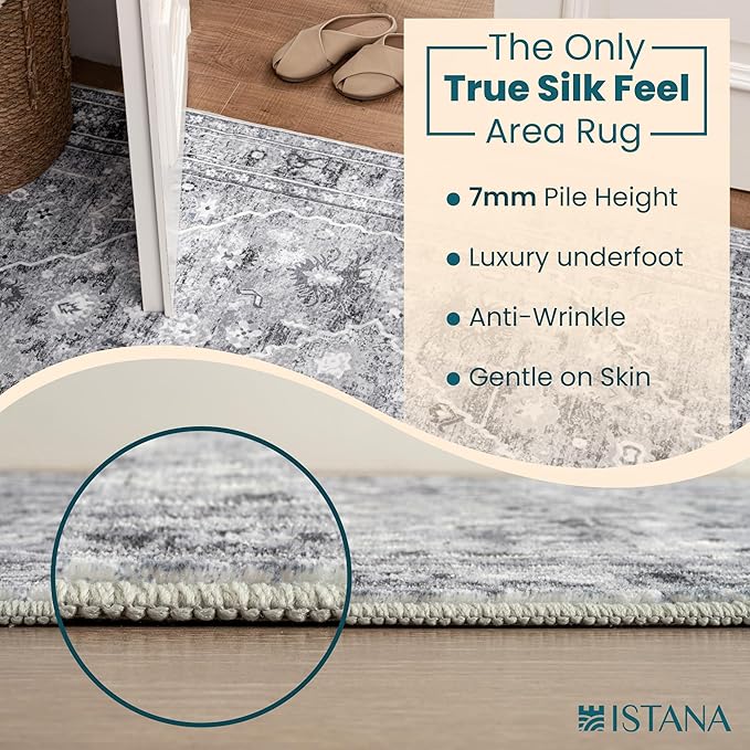 Istana 3x5 Area Rug - Grey Modern Rugs for Living Room 3x5 - Foldable Rugs for Bedroom/Living Room Rug - Stain Resistant Washable Rug - Eco-Friendly Small Area Rugs
