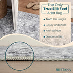 Istana 3x5 Area Rug - Grey Modern Rugs for Living Room 3x5 - Foldable Rugs for Bedroom/Living Room Rug - Stain Resistant Washable Rug - Eco-Friendly Small Area Rugs