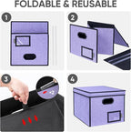 BALEINE File Organizer Box with Lid, Collapsible File Folder Organizer with Plastic Slide, Hanging File Folder Box for Office Document Storage (Tab Friendly, 1 Pack, Purple)