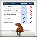 AllerEase Waterproof Mattress Protector Stain Protection Queen Size Allergen Barrier Hot Water Washable Machine Washable Durable Zippered Knit Mattress Cover Stretch Corners (White)