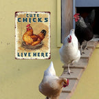 Funny Chicken Coop Signs Vintage Cute Chicks Live Here Metal Decor for Hen House & Farm 12x16Inch