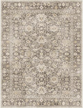 9X12 Area Rugs Machine Washable Rugs for Living Room Bedroom Hallway, Non Slip Indoor Soft Accent Distressed Boho Vintage Print Lightweight Thin Low Pile Carpet (Coffee, 9x12)
