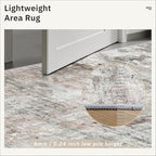 Soalmost Area Rugs 4x6 for Living Room, Vintage Washable Rugs for Dining Room, Kitchen, Non-Slip Area Rug Pink Grey