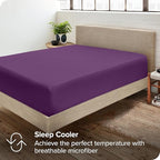 Bare Home 2-Pack Fitted Bottom Sheets Twin - Premium 1800 Ultra-Soft Wrinkle Resistant Microfiber - Deep Pocket (Twin, Plum)