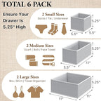 Simple Houseware Underwear Drawer Organizer for Lingerie/Undergarment/Bra/Panty/Sock/Onesie, Set of 6, Gray