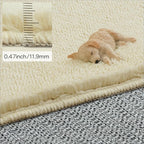 Solid Washable Area Rug - 5x7 Medium Pile Faux Cashmere Carpet for Living Room Bedroom, Light Yellow