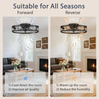 VOLISUN Caged Ceiling Fan with Light and Remote – 23.6-Inch Fandelier